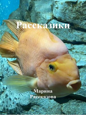 cover image of Рассказики